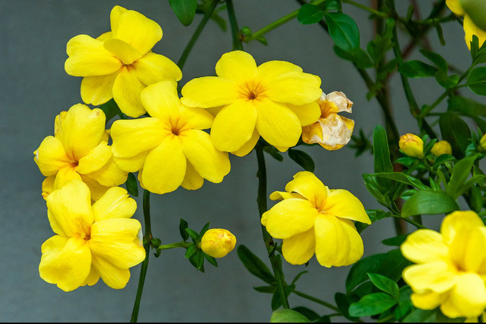 深化教育领域腐败整治工作动员部署会召开